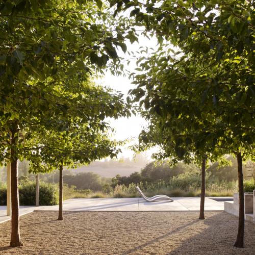 andrea cochran grind met bomen en grassen