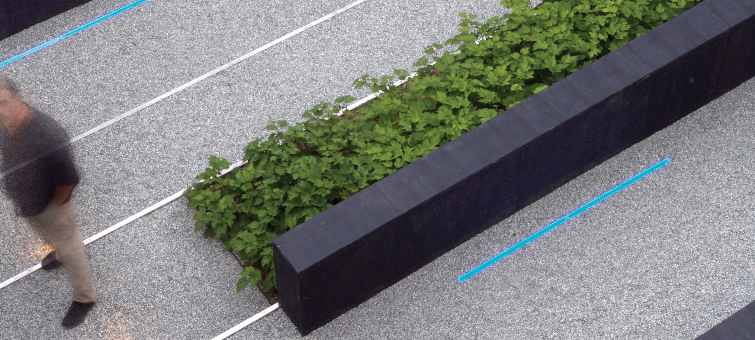 andrea cochran muurtje in zwart beton gecombineerd met groene planten