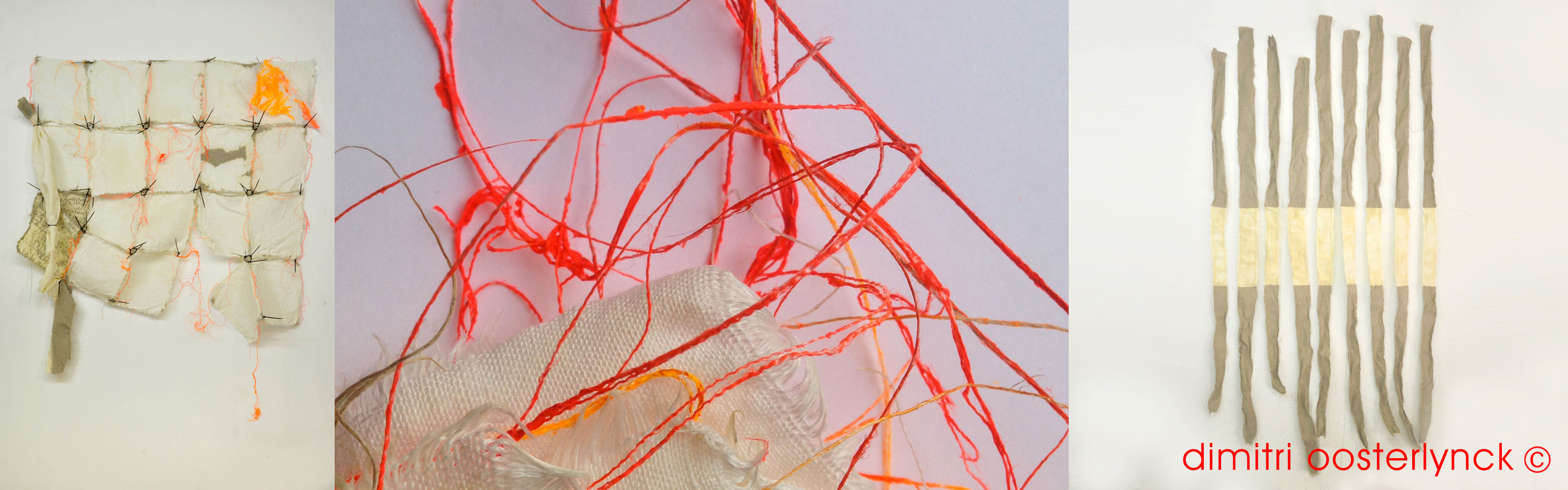 dimitri oosterlynck DEF.jpg