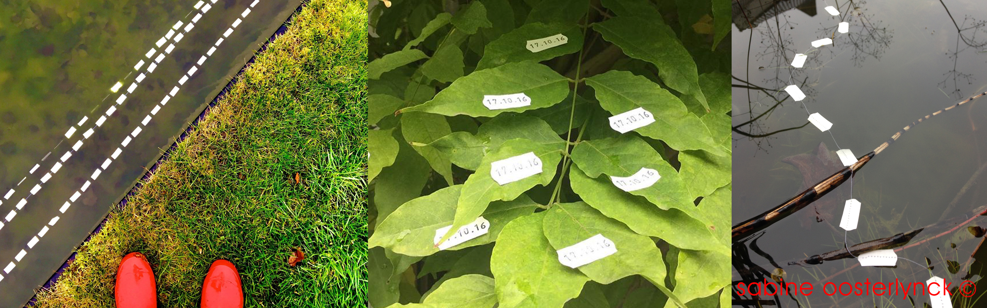 sabine oosterlynck DEF.jpg