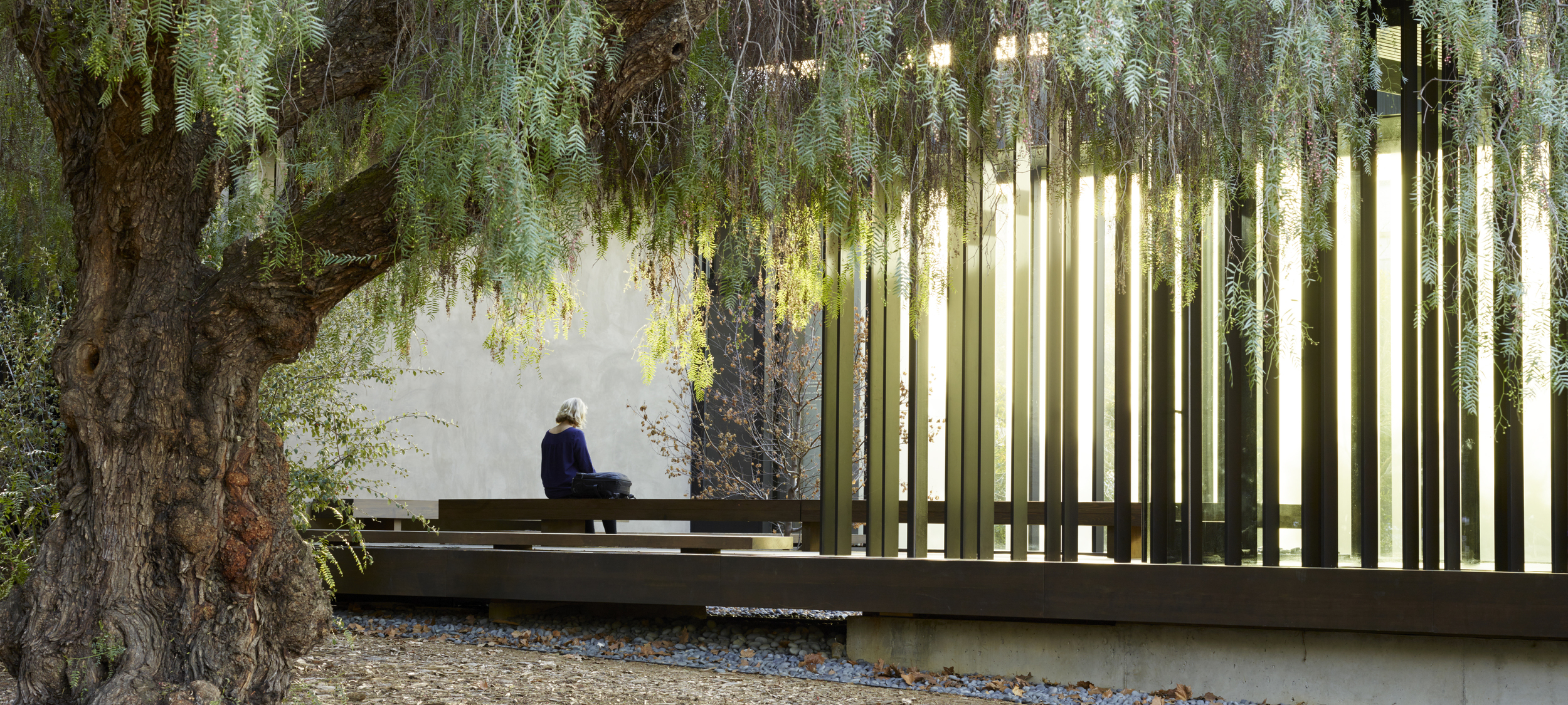 andrea cochran strakke lijnen met boom en mooie lichtinval