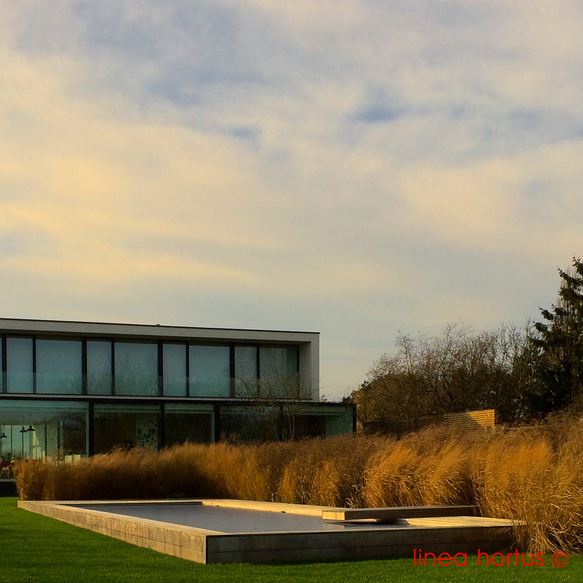 zwembad bellingen.jpg